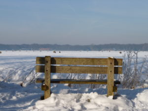 Winter 2017
